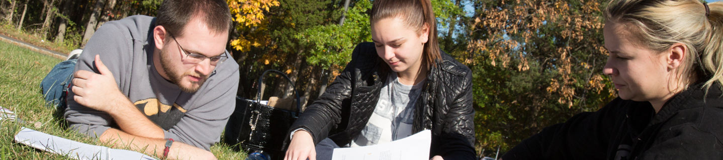 Students studying outside